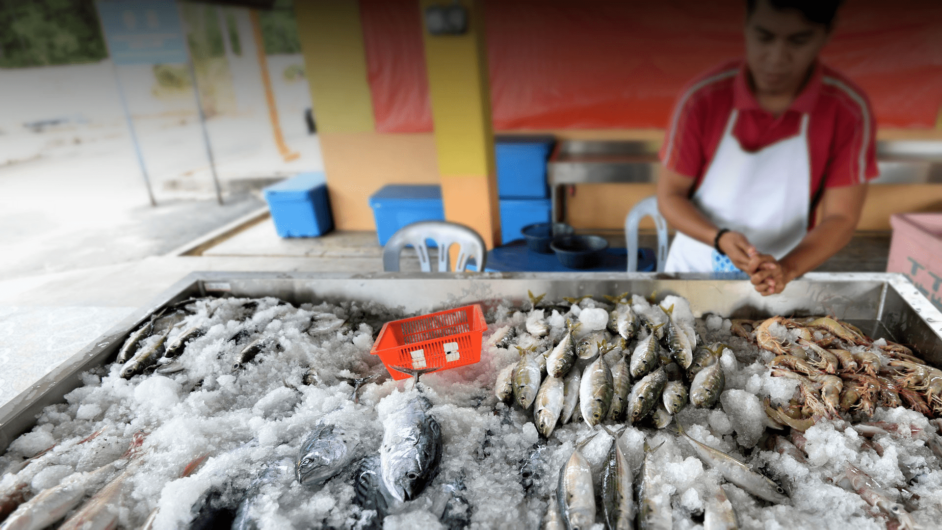 Fisheries Development Authority Of Malaysia Kementerian Pertanian Dan Industri Makanan